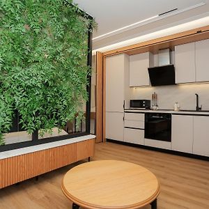 Suite Appartement